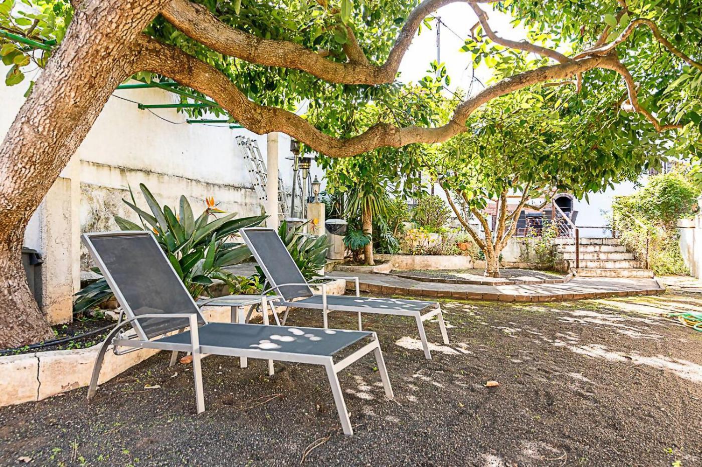 Penzion Casa Tipica Canaria En El Parque Rural De Doramas Teror Exteriér fotografie